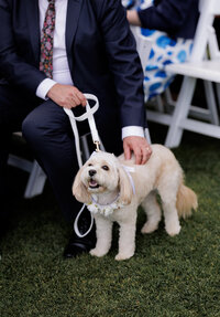 adelaide-wedding-photographer-golding-wines-gallery-204