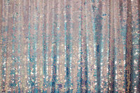 Rainbow-SequinBackdrops-BananaWho--01
