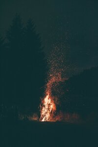 pexels-vlad-bagacian-1368388