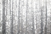 Silver-01