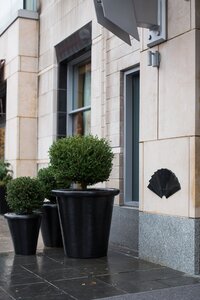Boston Back Bay Wedding at Mandarin Oriental, Boston. Deborah Zoe Photography. Boston Wedding Photographer.