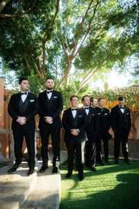 Royal palms 2-123