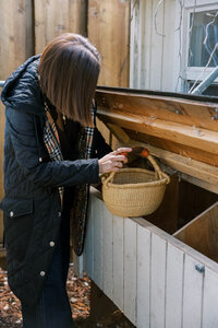 Woman reaching into her chicken coop to pick fresh-laid eggs