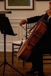 Cello for Wedding
