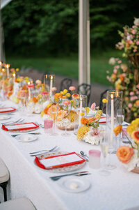 molly-and-chris-wedding-highlights-11