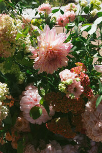 provence-wedding-cassis-french-rivera1