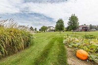 backyard-gardens