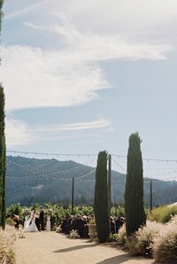 Alyssa-Gayle-Lawrence-San-Francisco-wedding-Photographer-168_websize