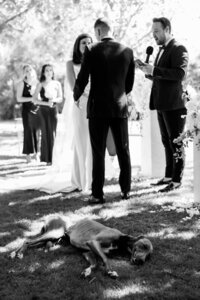 yves-byron-adelaide-summer-wedding-68