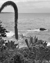 Belleza Sol - Beach Vibe IG (2)