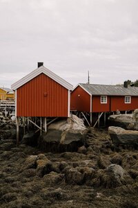 Lindsie_Danielle_2025-791