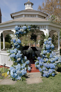 loui_photo_film_virginia_birkby_house_spring_wedding-299