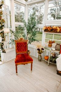 gravel-and-grace-glasshouse-velvet-chair-olive-tree.jpg