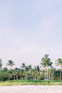 Naples Proposal Photographer | Brittany Bekas-6