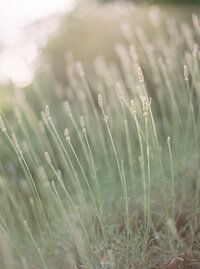 social-squares-moss-green-styled-stock-image033