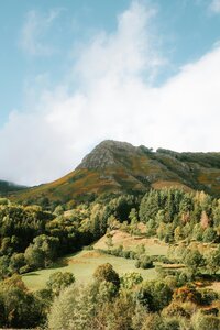 pexels-matreding-18827689