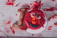 aalijah-Cleveland-cakesmash-Photography012