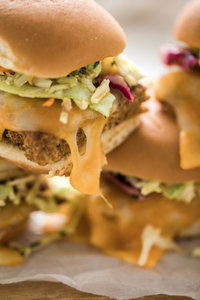 chipotleturkeyburger14