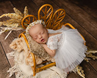 Newborn baby posed in a rustic basket with pink layers and soft textures. Photographed by Inland Empire newborn photographer Kaitlyn Dawn Photography.