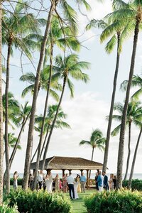 lanikuhonua-cocktail-hour-phase-2jpg