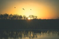 brice-cooper-Tb5yggQfMs4-unsplash