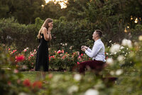 Rose Garden Engagement.Kansas City Proposal Photographer.CaitlynCloudPhotography22