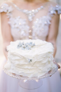 Lynchburg Virginia Wedding Photographer