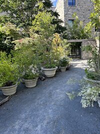 IMG_5970