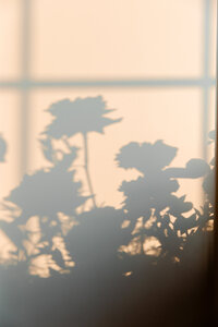 kansas-city-wedding-photographer (187 of 328)