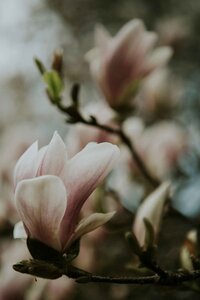 marta-filipczyk-AS94u4ZtDRM-unsplash (1)