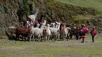 perugaladay7_060v_resize_33972599158_o