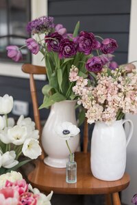 Lifestyle branding images showcasing Cherry Hill Flower Farm. A mix of portraits and candids to be used across social media and web presence. New Hampshire Branding Photographer for small businesses and creatives. Deborah Zoe Photography.