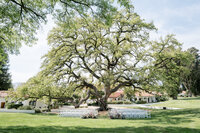 Ojai Valley Inn Wedding Photographer-0040