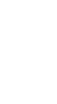 line drawing of oregon grape flower