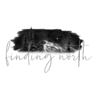 Finding North magazine logo