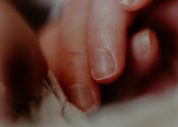RLP_0054