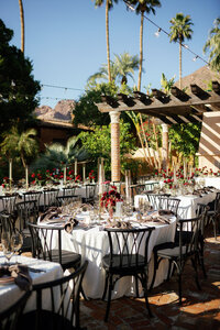 Royal palms 2-91