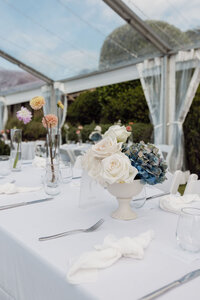 Alice&Andy-395