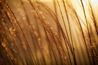 johnny-mcclung-uYTKzVp8loQ-unsplash