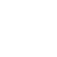 ZA Logo White