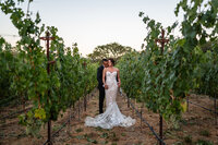 Montage-Healdsburg-Wedding-Couple-Vineyard