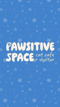 pawsitive space 1
