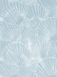 seashells pattern