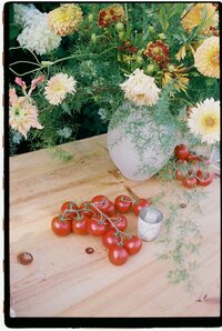 FILM-forest-and-stream-club-summer-wedding-julia-garcia-prat-destination-wedding-photography-23_websize