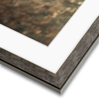 tungsten-framed-pet-portrait