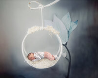 Los Angeles newborn photography artistic studio portrait of a newborn in a prop basket suspended in the air, styled safely with soft light and true to life color.