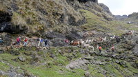 perugaladay6_142v_resize_33972595878_o
