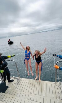 polar plunging in the Antarctic Ocean
