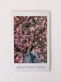 space and brand styling