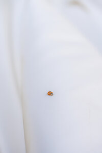 garden wedding ladybug on dress at rainbow oaks ranch in sanger california